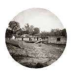 Dormus