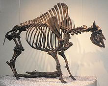 Big Bone, Kentucky