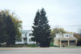 Walton, Kentucky