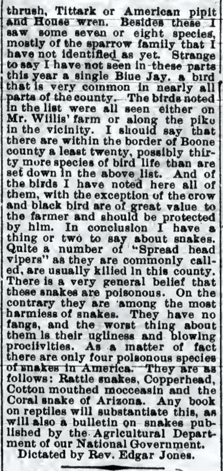 Boone Birds