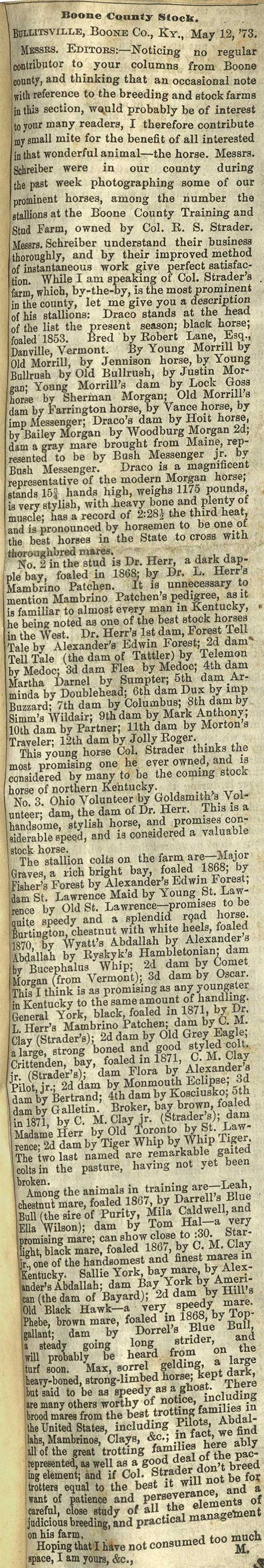 Strader's Stock Farm