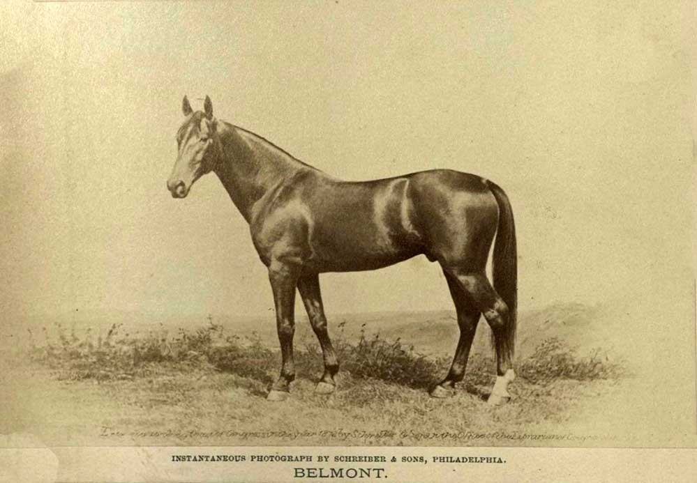 Belmont