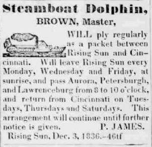 Dolphin