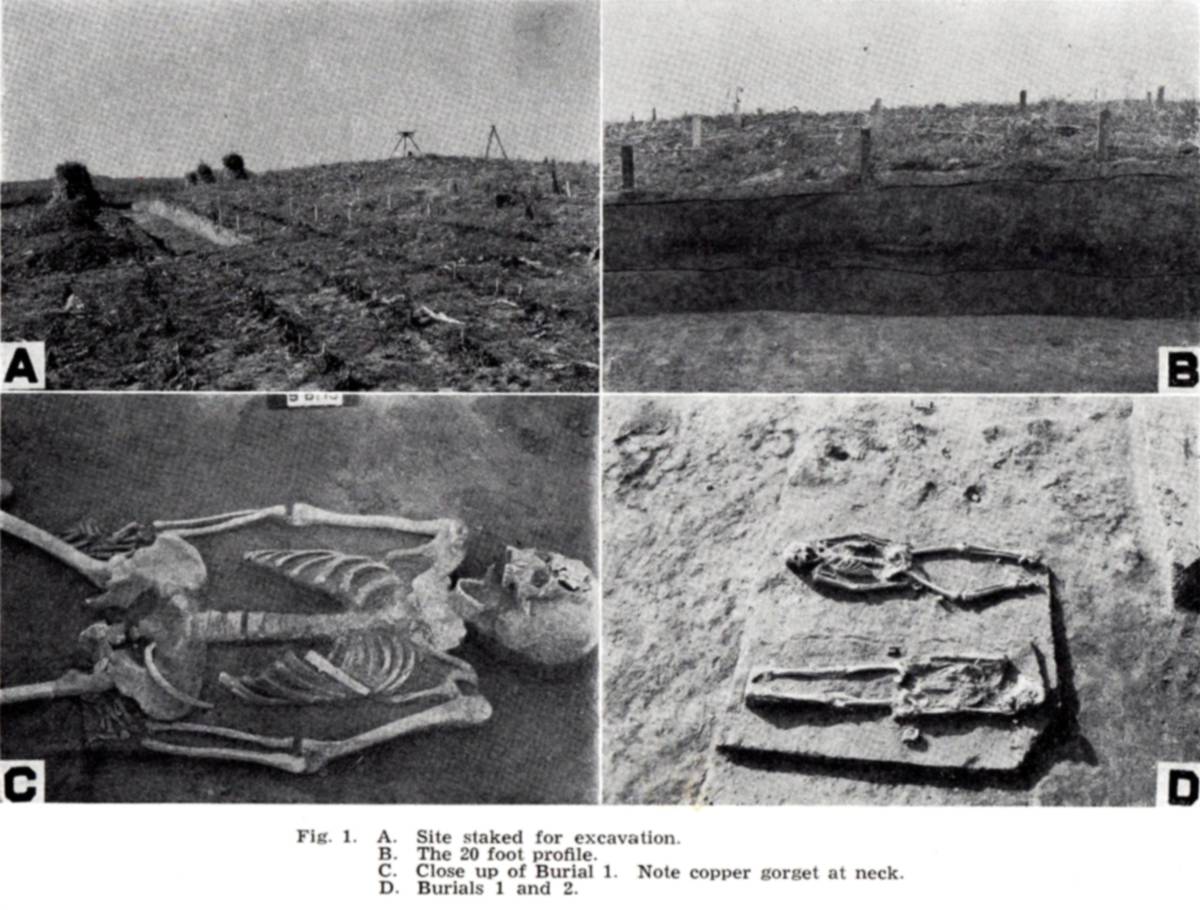 Riley Mounds