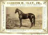 Cassius M. Clay, Jr.