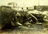 Ice, 1917-1918