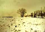 Ice, 1917-1918