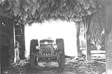 Boone County Tobacco Farming