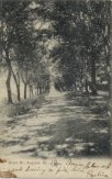 Augusta, Kentucky