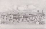 Augusta Business
