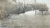 Flood in Augusta, Kentucky