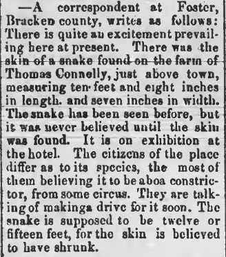 Snake