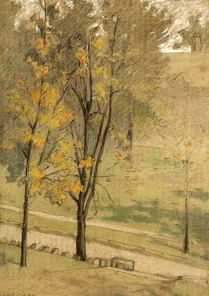 Alke Spring Scene