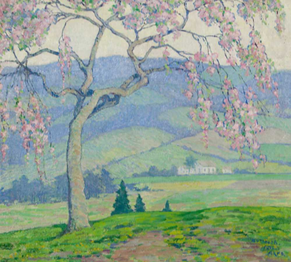 Elizabeth Alke