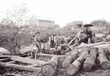 Sawmill