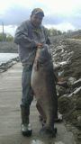 Big Fish