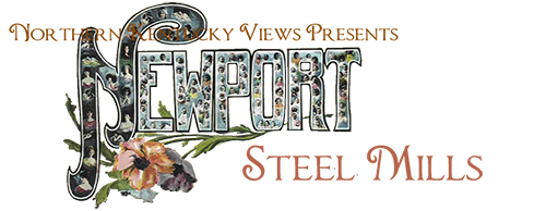 newport steel mills