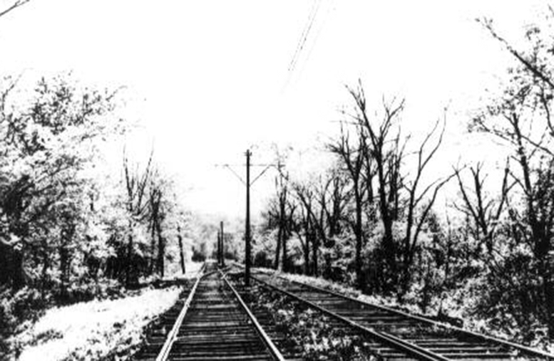 green line