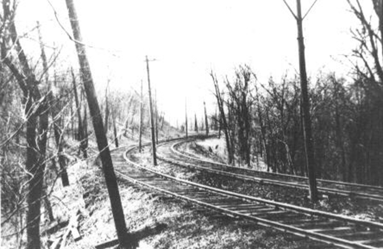 green line
