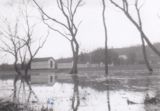 Camp Meacham