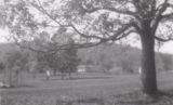 Camp Meacham