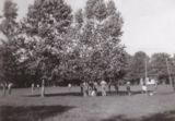 Camp Meacham