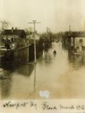 Newport Flood Scene