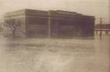Silver Grove