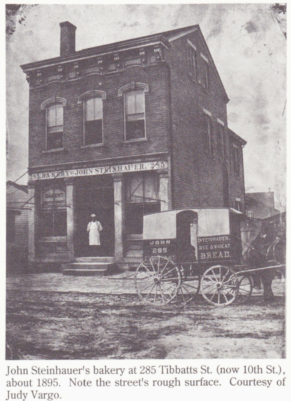 Steinhauer's