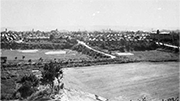 Rothweiler