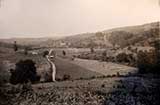 Cryer Road