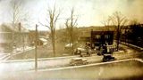 Silver Grove