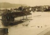 Flood Scene