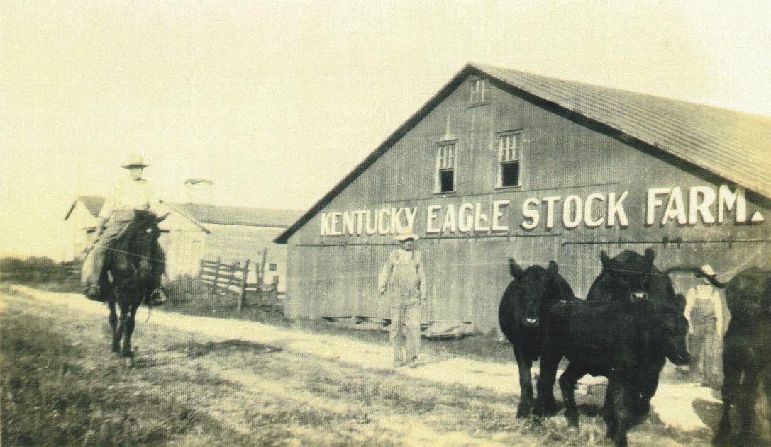 Eagle Stock Farm