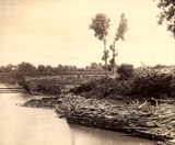 Lock & Dam #1