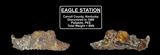 Eagle Valley Meteorite