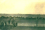 Sanders Fair