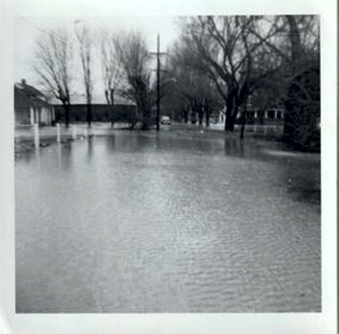 1964 Sanders Flood