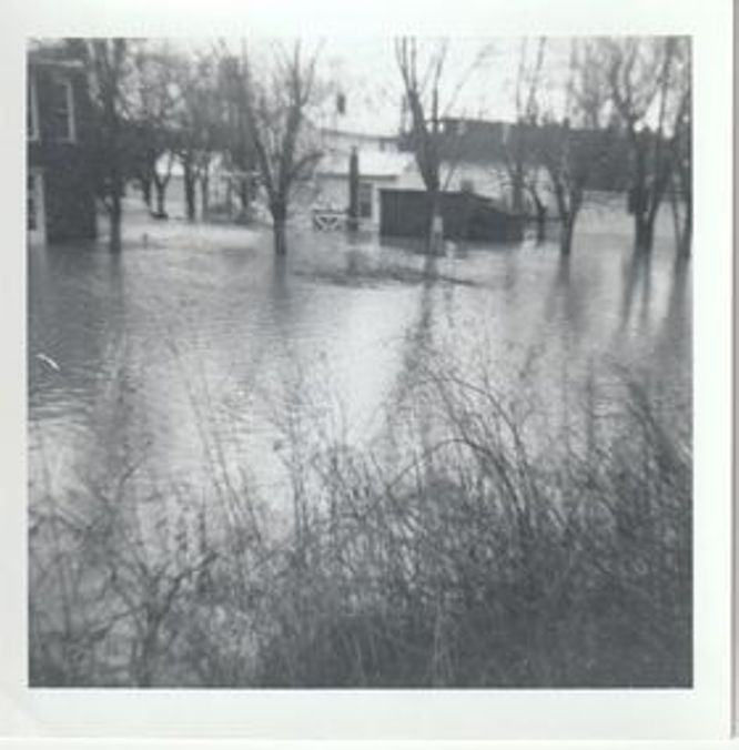 1964 Sanders Flood
