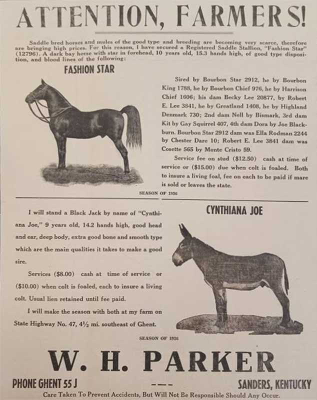 Parker's