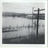 1964 Flood
