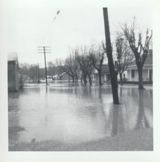 1964 Flood