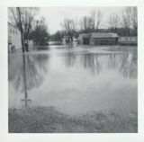 1964 Flood