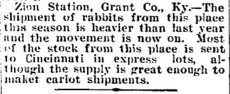 Rabbits