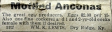 Wm. K. Lewis