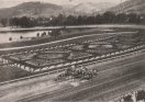 Latonia Race Track