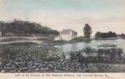 Villa Madonna