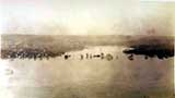 Licking 1937 Flood