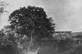 Bridge between Bromley and Ludlow