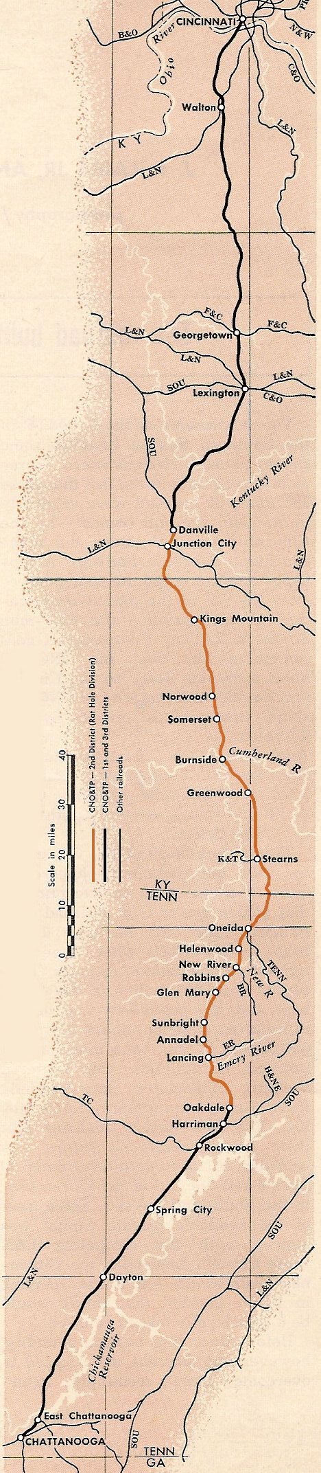 C N O & T P Map
